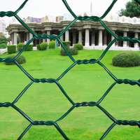 Professional Manufacturer PVC Fish Cage 3/4" 5/8 Hexagonal Wire Mesh