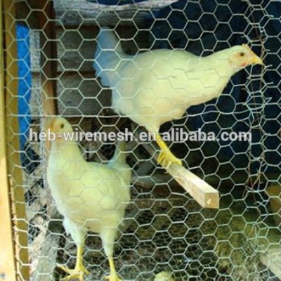 hexagonal wire mesh for raising chicken